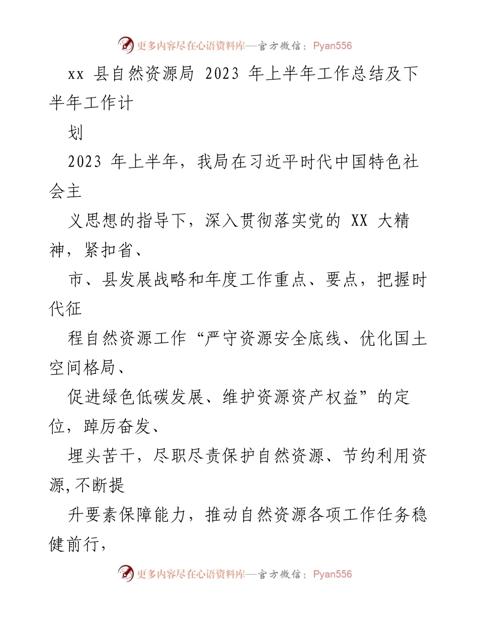 [工作总结] 自然资源局 - 2023年上半年工作总结及下半年工作计划.docx_第1页