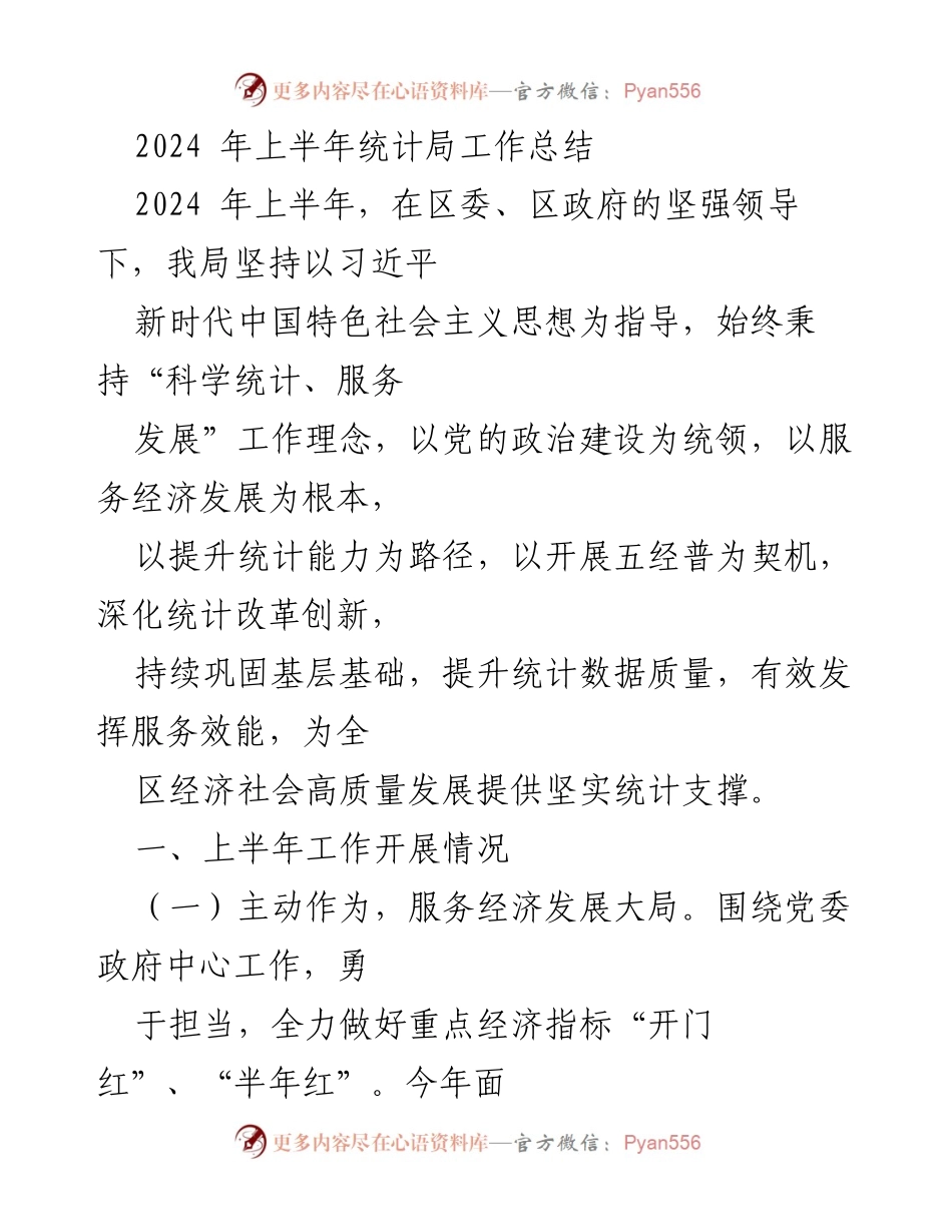 [工作总结] 统计局 - 2024年上半年统计局工作总结与成效分析.docx_第1页