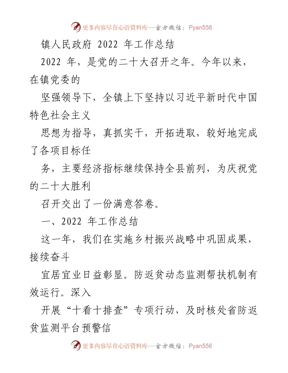 [工作总结] 镇人民政府 - 2022年工作总结与乡村振兴成效分析.docx_第1页