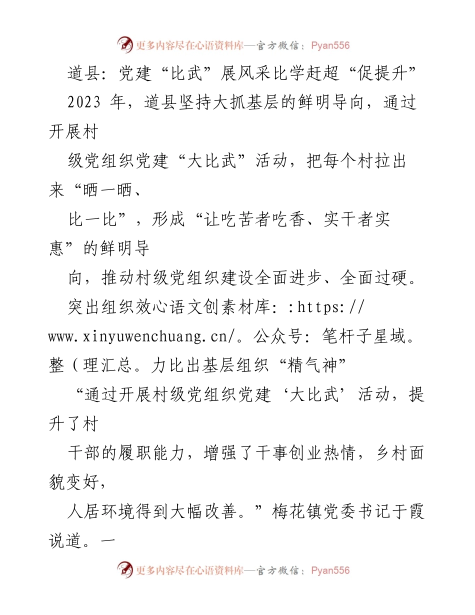 [工作总结] 道县党建活动 - “比武”促提升：道县村级党组织党建活动总结.docx_第1页