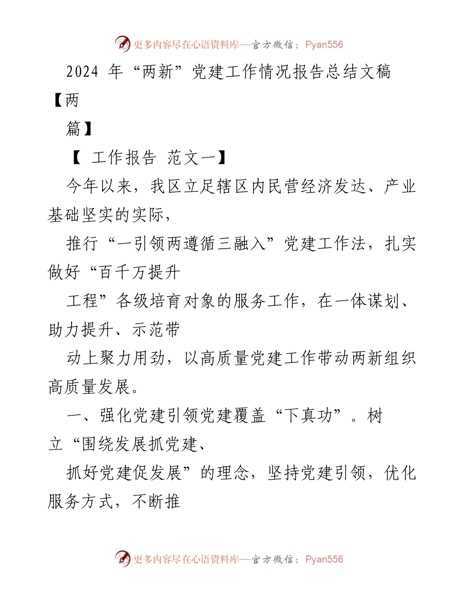 [工作报告] 党建工作总结 - 2024年“两新”党建工作情况总结报告.docx_第1页
