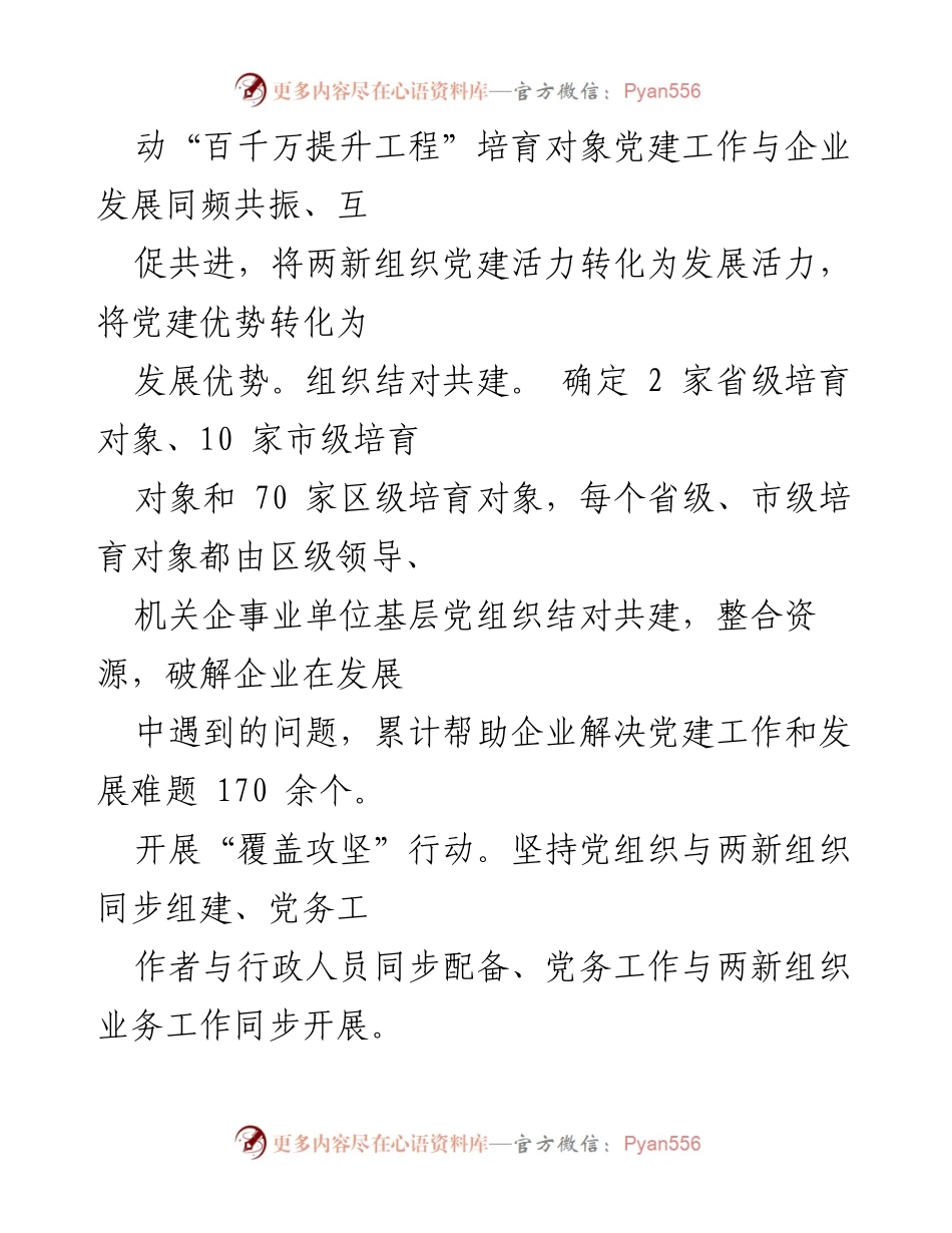 [工作报告] 党建工作总结 - 2024年“两新”党建工作情况总结报告.docx_第2页