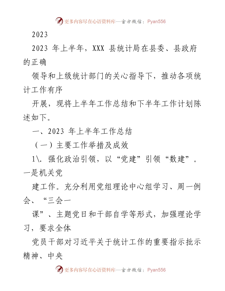 [工作总结] 统计局 - 2023年上半年统计工作总结与下半年计划.docx_第1页