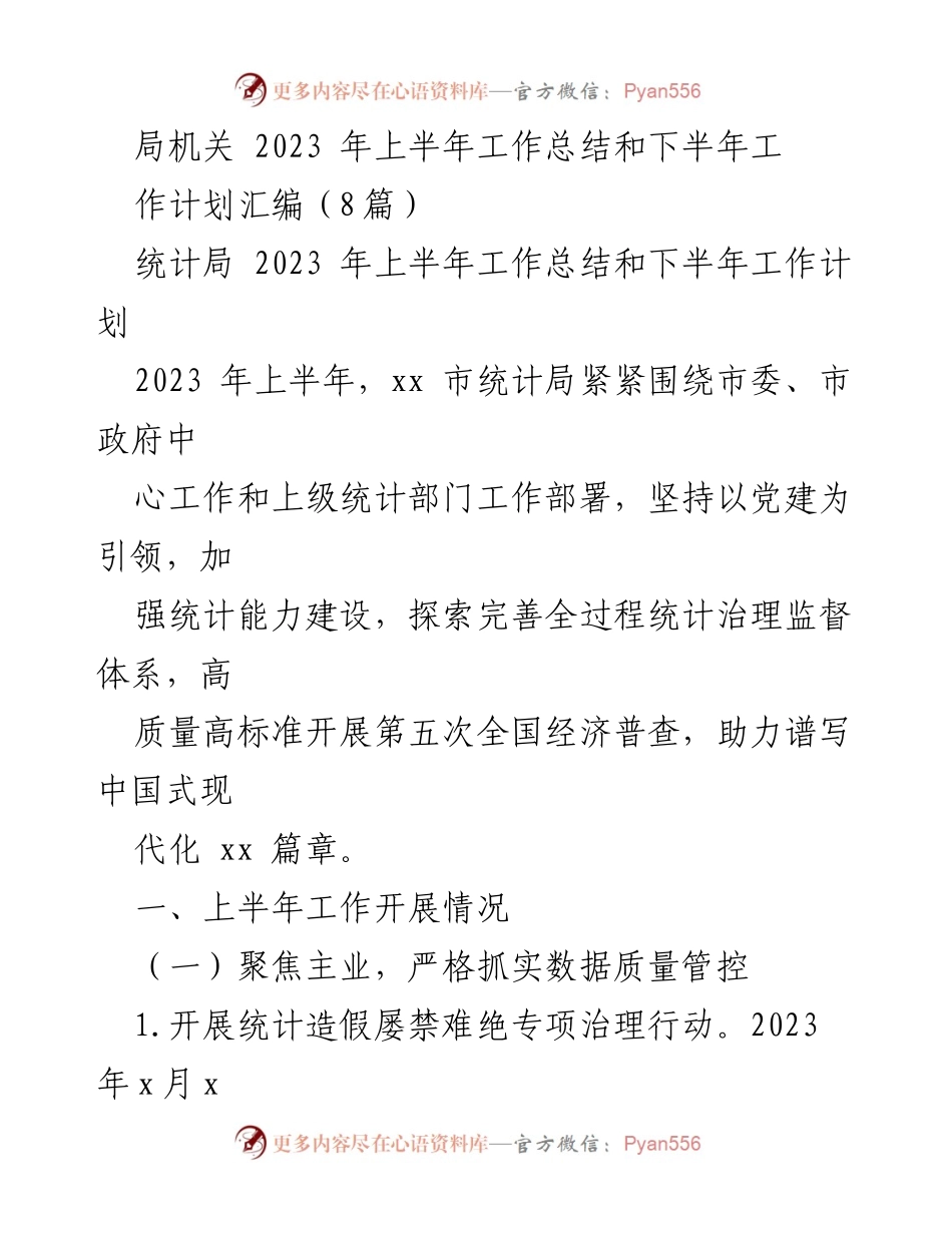[工作总结] 统计局 - 2023年上半年工作总结与下半年工作计划汇编.docx_第1页