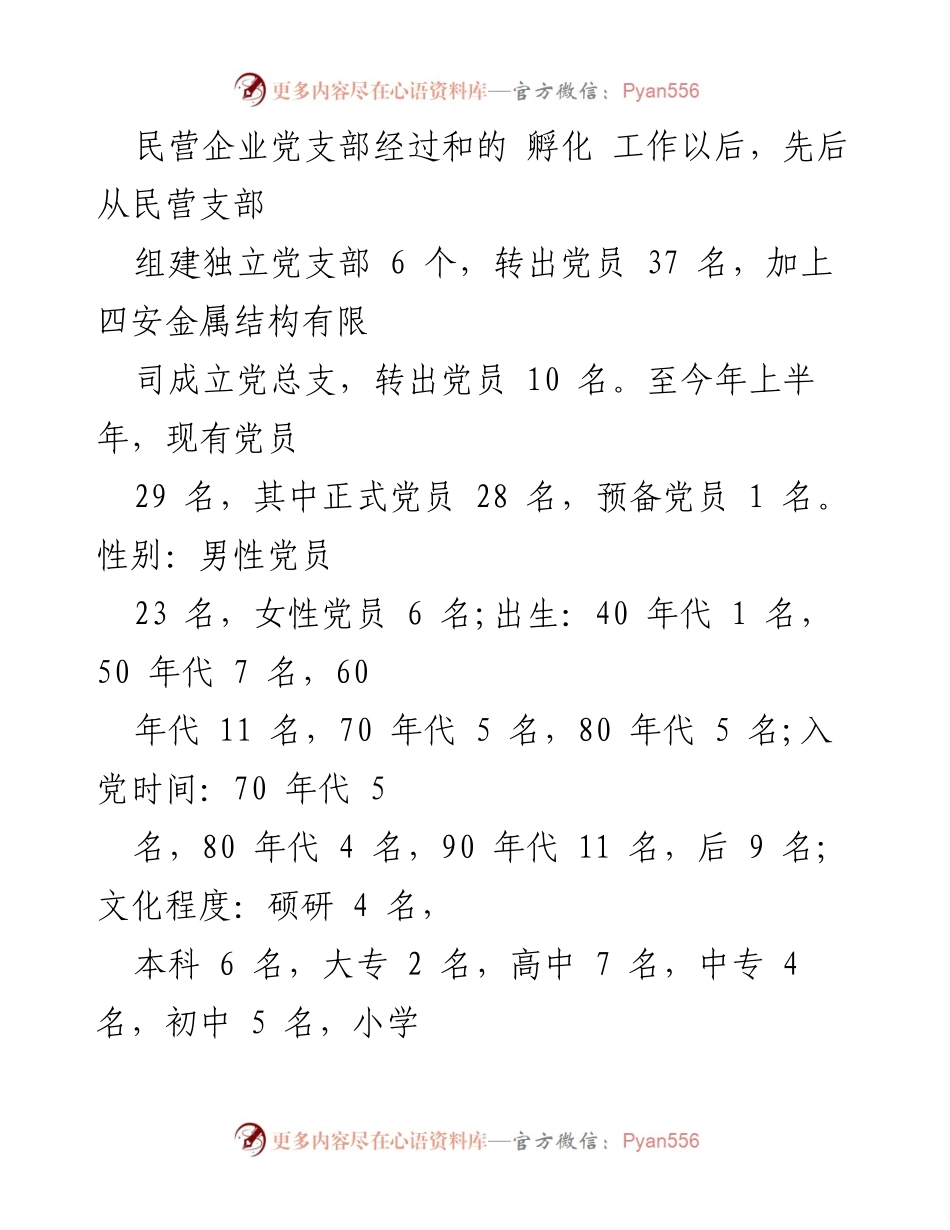 [工作报告] 党支部换届选举 - 民营企业党支部三年工作总结与换届选举报告.docx_第2页