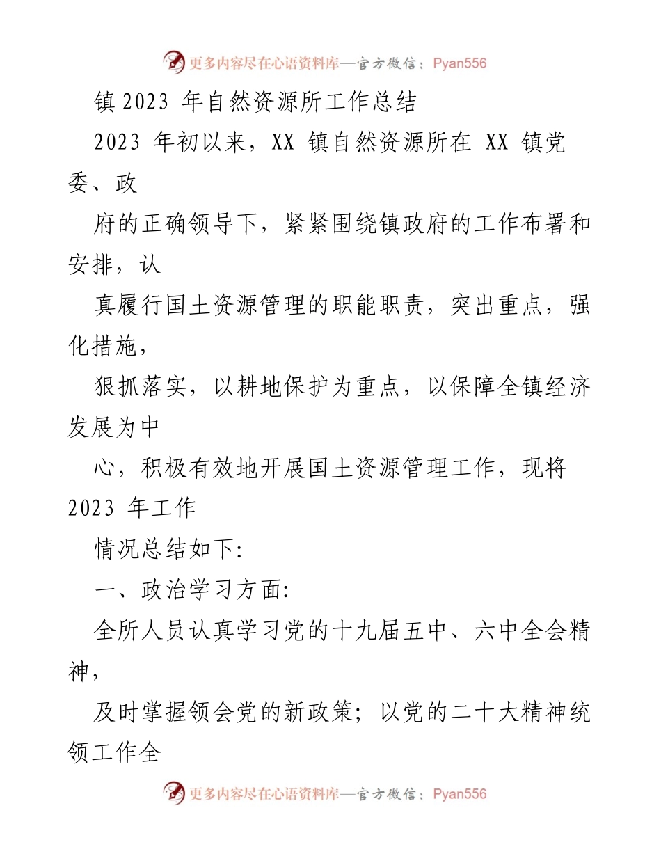 [工作总结] 镇自然资源所 - 2023年自然资源所工作总结与展望_1.docx_第1页