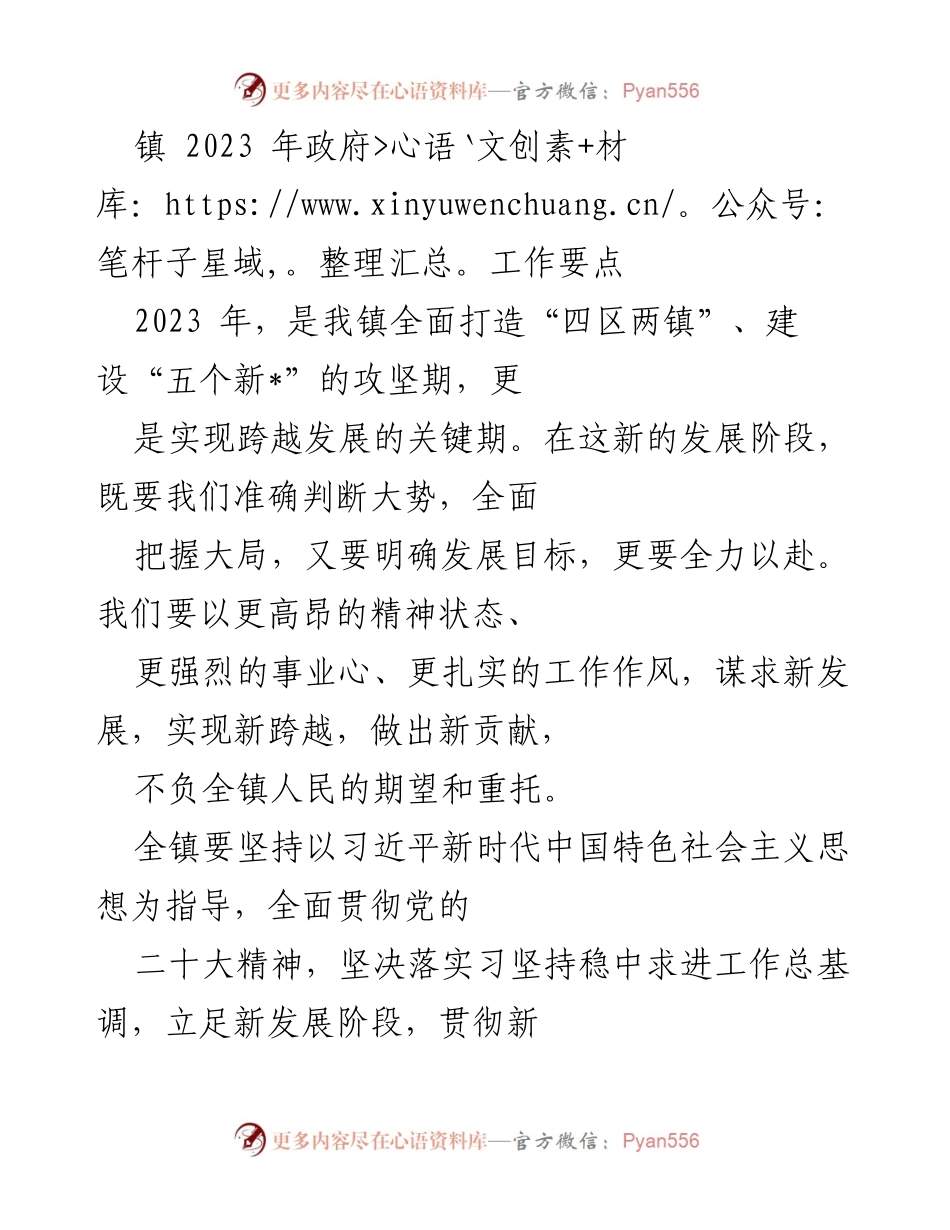 [工作总结] 镇政府 - 2023年政府工作要点及乡村振兴战略实施计划.docx_第1页