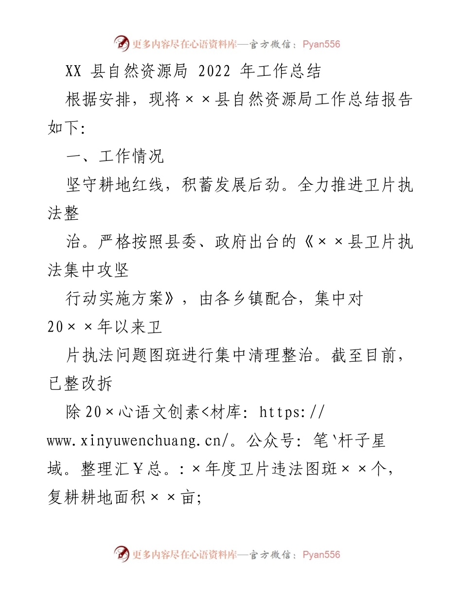 [工作总结] 自然资源局 - 2022年度工作总结报告.docx_第1页