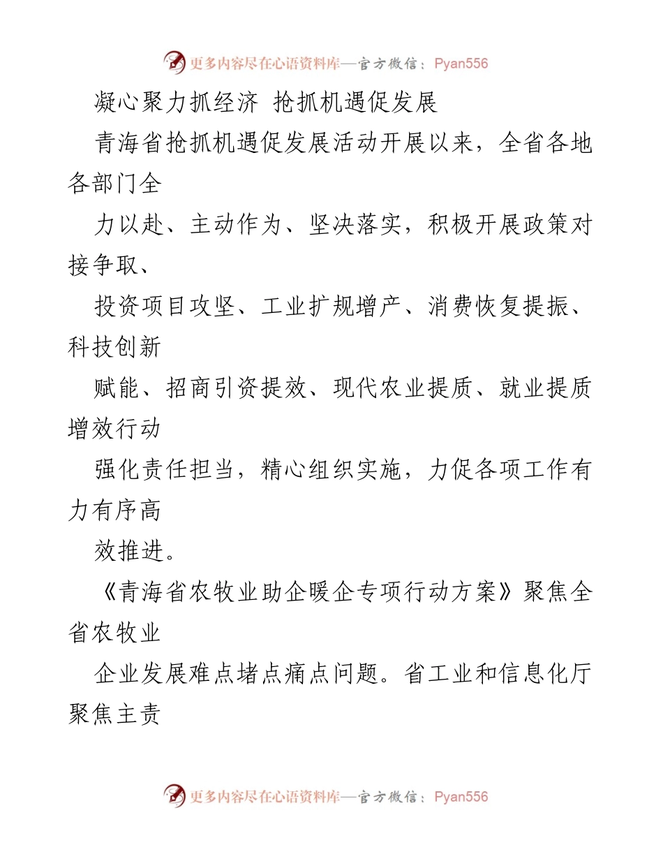 [工作总结] 经济发展活动 - 青海省经济发展工作总结与展望.docx_第1页