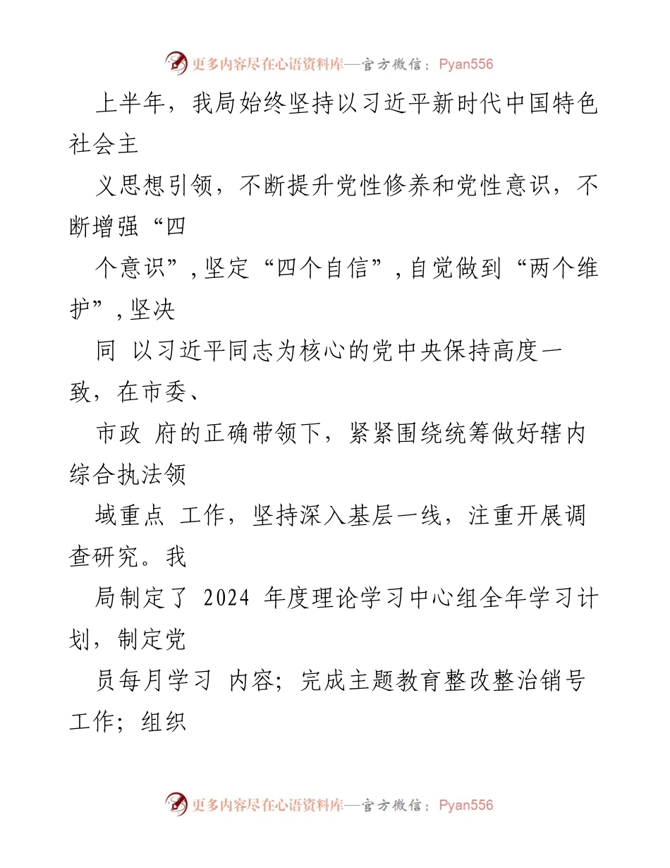 [工作总结] 综合行政执法局 - 2024年上半年工作总结与下半年工作计划_1.docx_第2页
