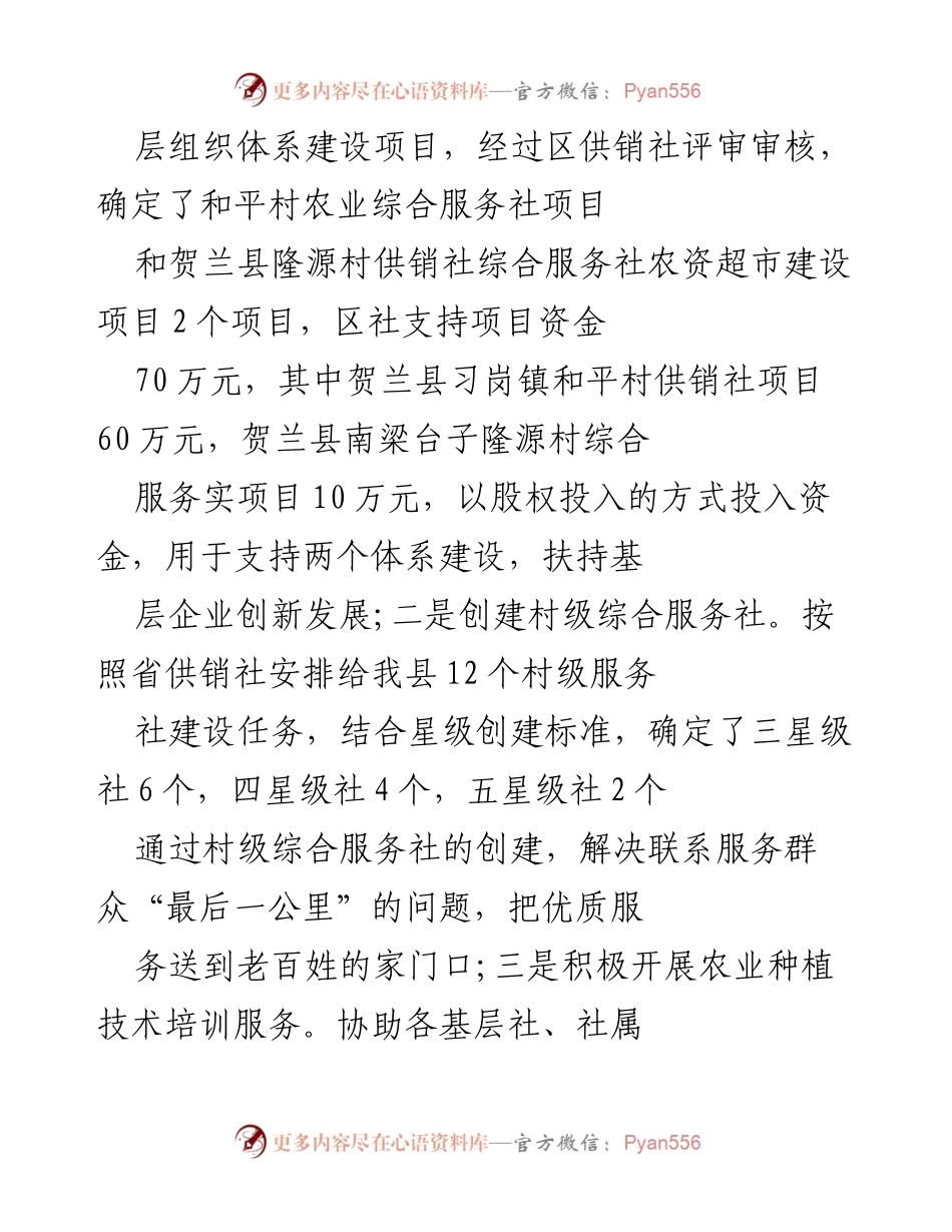 [工作总结] 防疫期间蔬菜供应与招商引资工作 - 保障蔬菜供应与招商引资双推进工作总结.docx_第2页