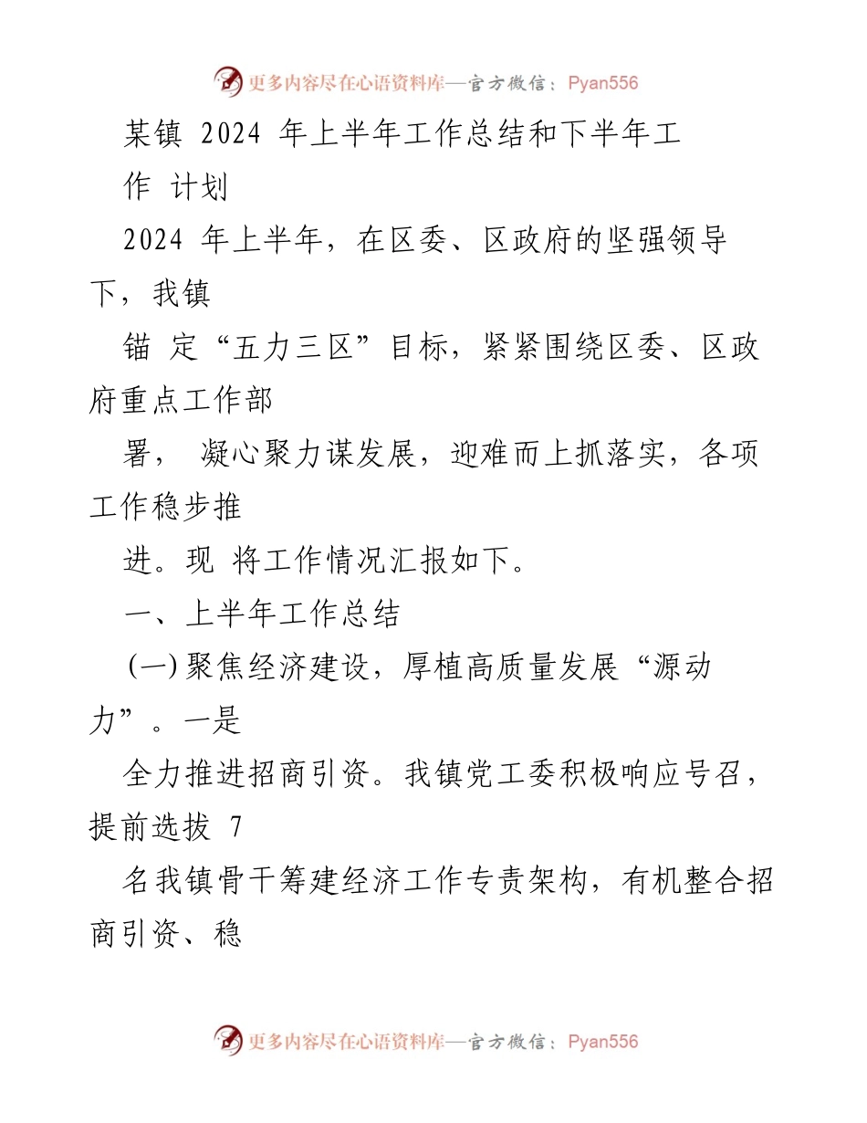 [工作总结] 镇政府 - 2024年上半年工作总结与下半年计划.docx_第1页
