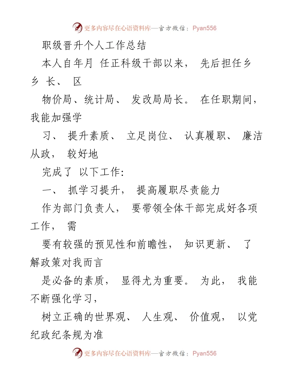 [工作总结] 职级晋升 - 职级晋升后的工作成效与自我提升总结.docx_第1页