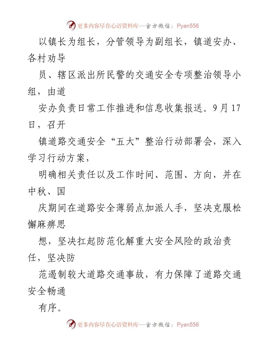 [工作总结] 道路交通安全整治行动 - 道路交通安全整治行动工作总结_1.docx_第2页