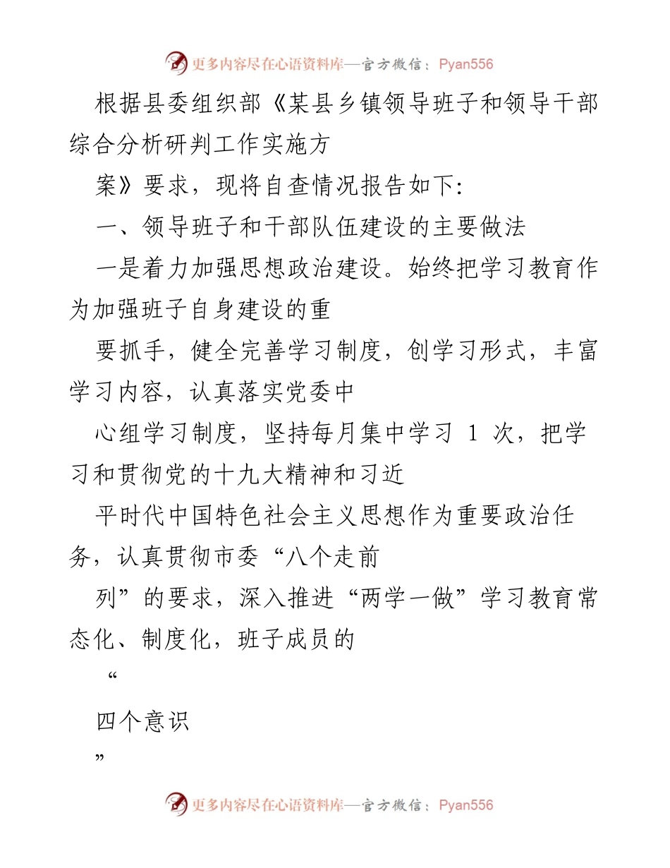 [工作总结] 自查报告 - 乡镇领导班子建设自查情况总结.docx_第1页