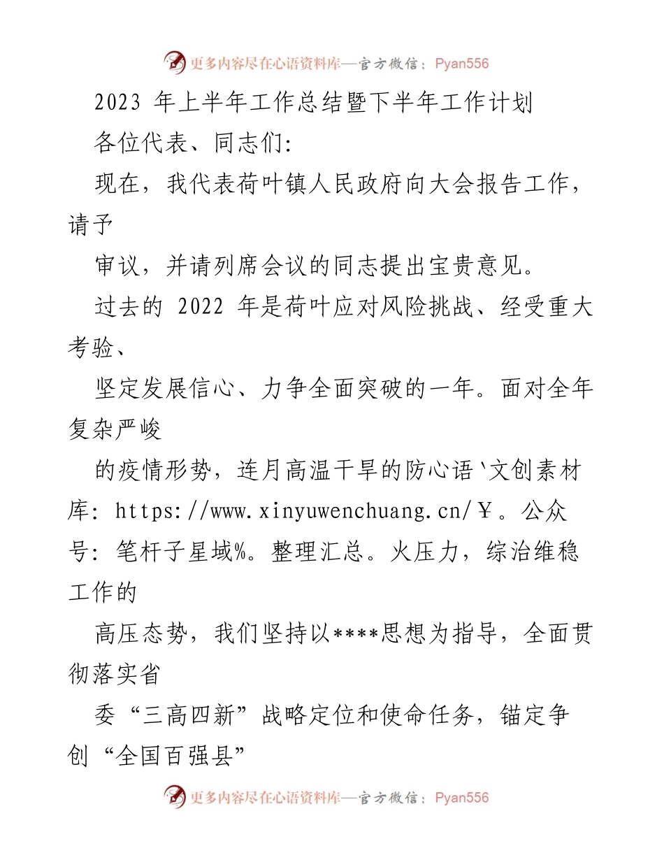 [工作总结] 荷叶镇人民政府大会 - 2023年上半年工作总结与下半年工作计划.docx_第1页