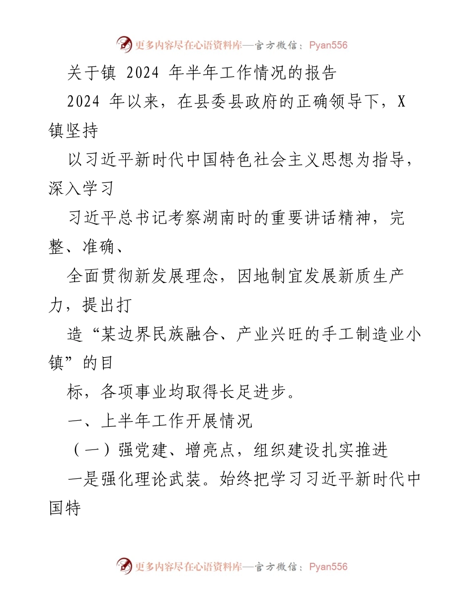 [工作总结] 镇政府 - 2024年上半年工作情况报告_1.docx_第1页