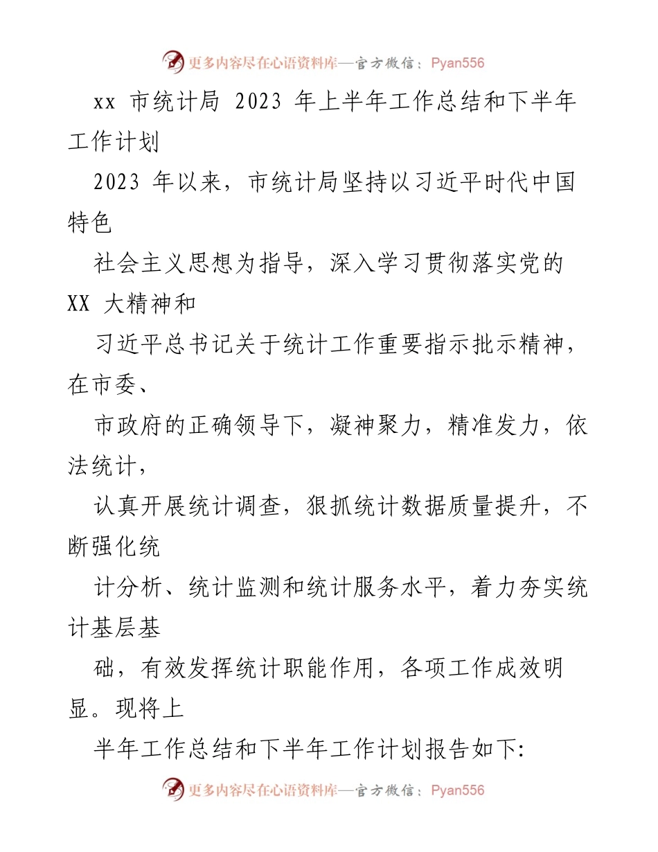 [工作总结] 统计局 - 2023年上半年工作总结与下半年工作计划_1.docx_第1页