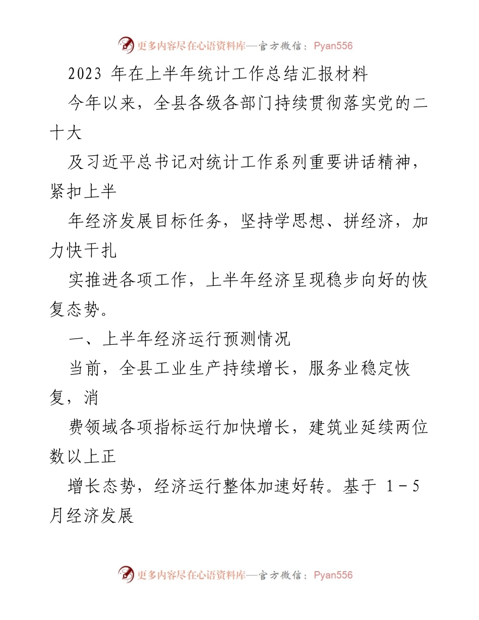 [工作总结] 统计工作 - 2023年上半年统计工作总结与经济运行分析.docx_第1页