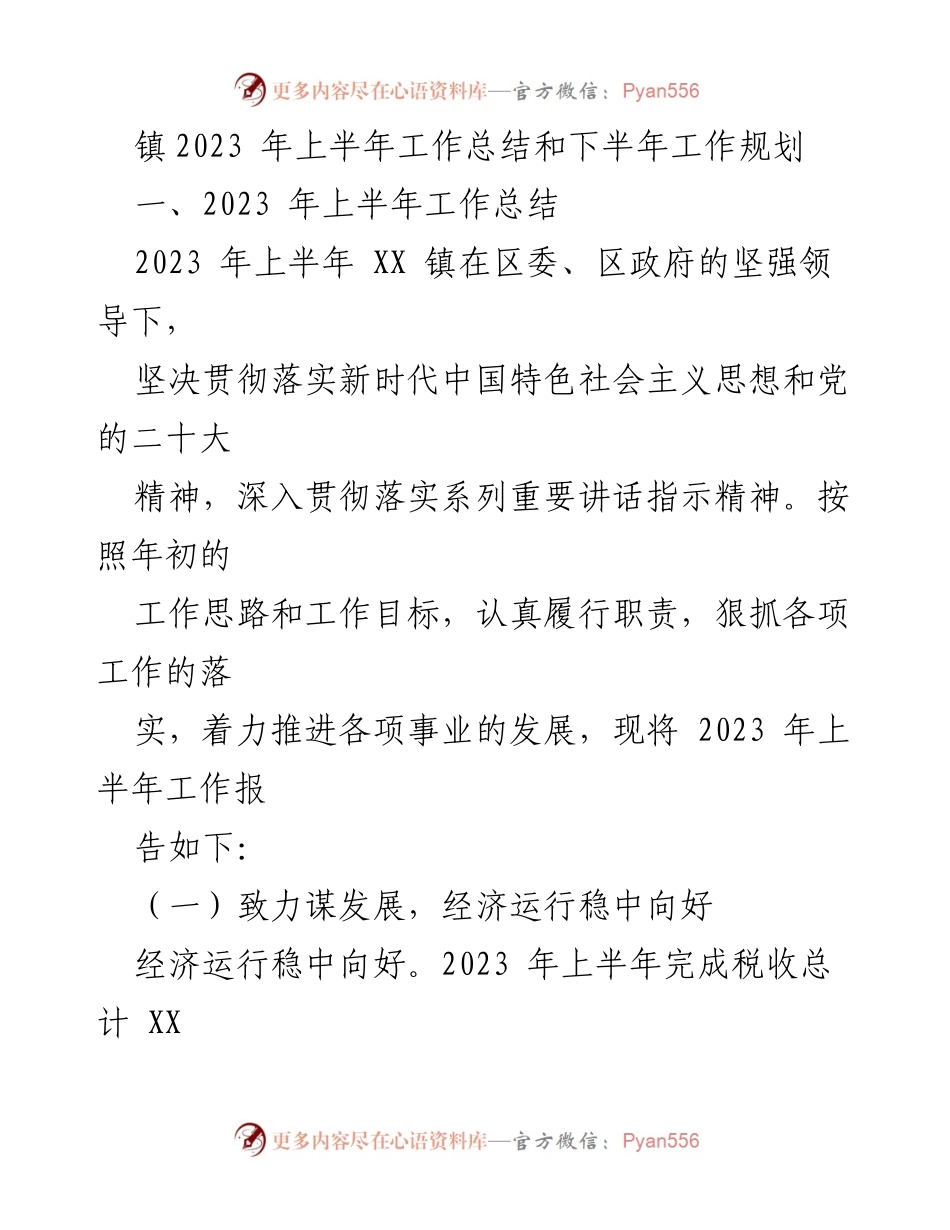 [工作总结] 镇政府 - 2023年上半年工作总结与下半年规划.docx_第1页
