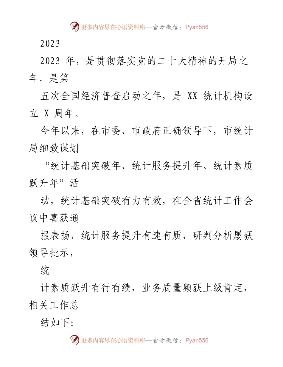 [工作总结] 统计工作会议 - 2023年市统计局工作总结与成就报告.docx_第1页