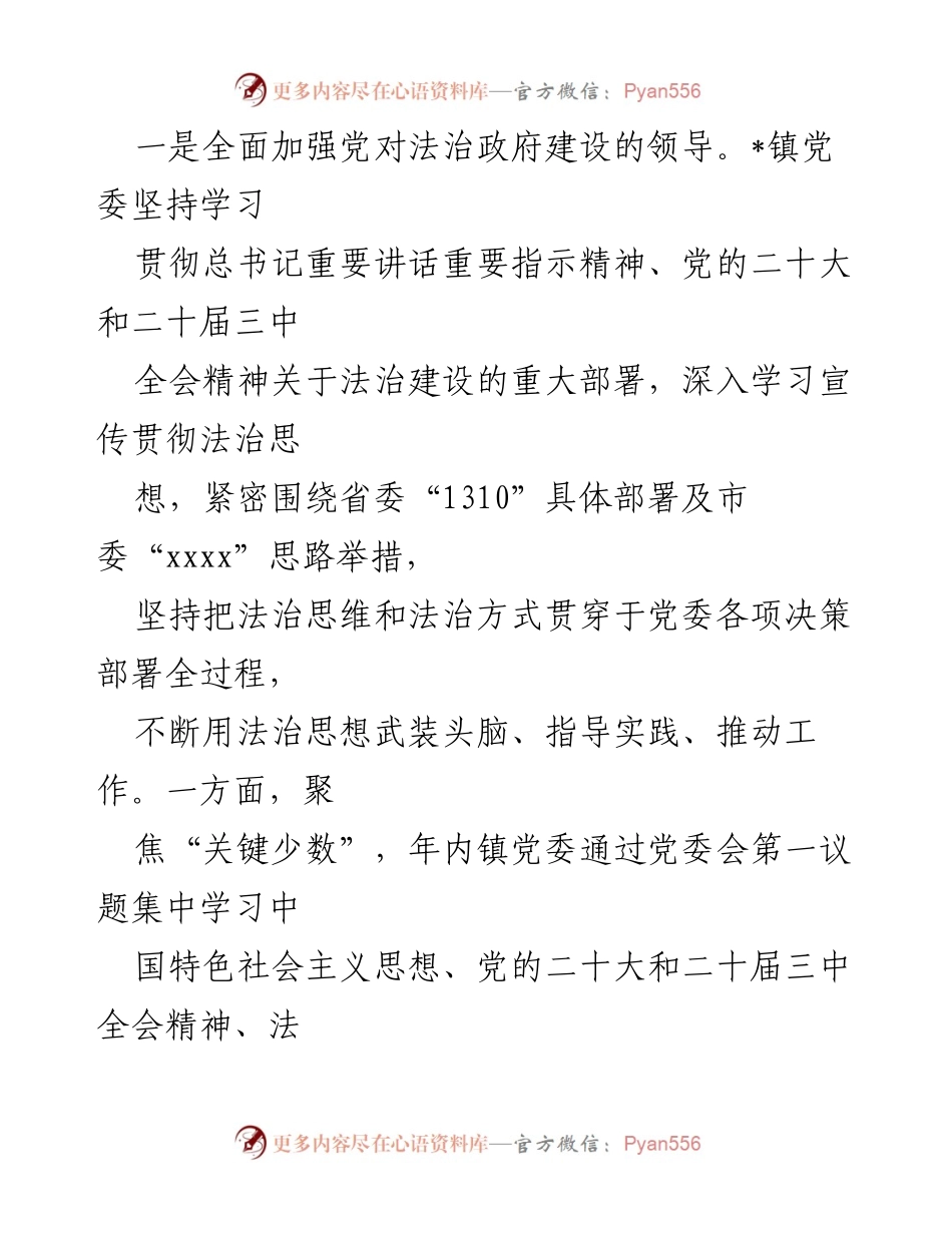 [工作总结] 镇人民政府 - 2024年度法治政府建设工作总结.docx_第2页