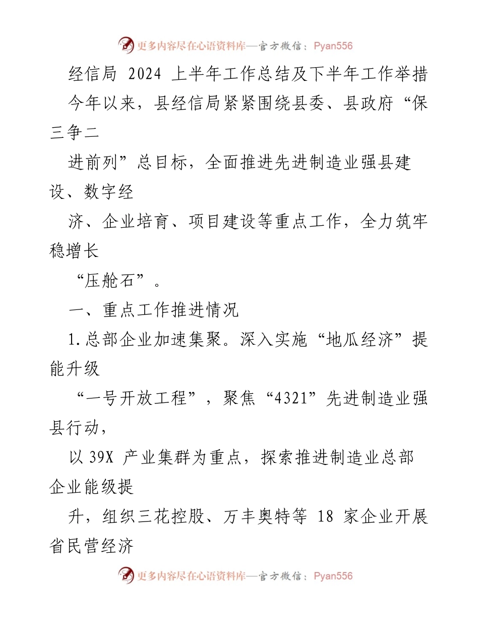 [工作总结] 经信局 - 2024年上半年工作总结及下半年工作举措.docx_第1页
