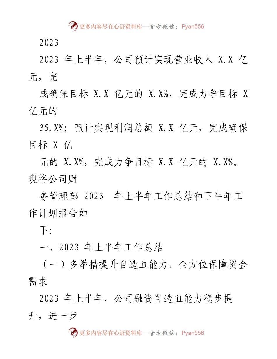 [工作总结与计划] 财务管理部 - 2023年上半年工作总结与下半年计划报告.docx_第1页