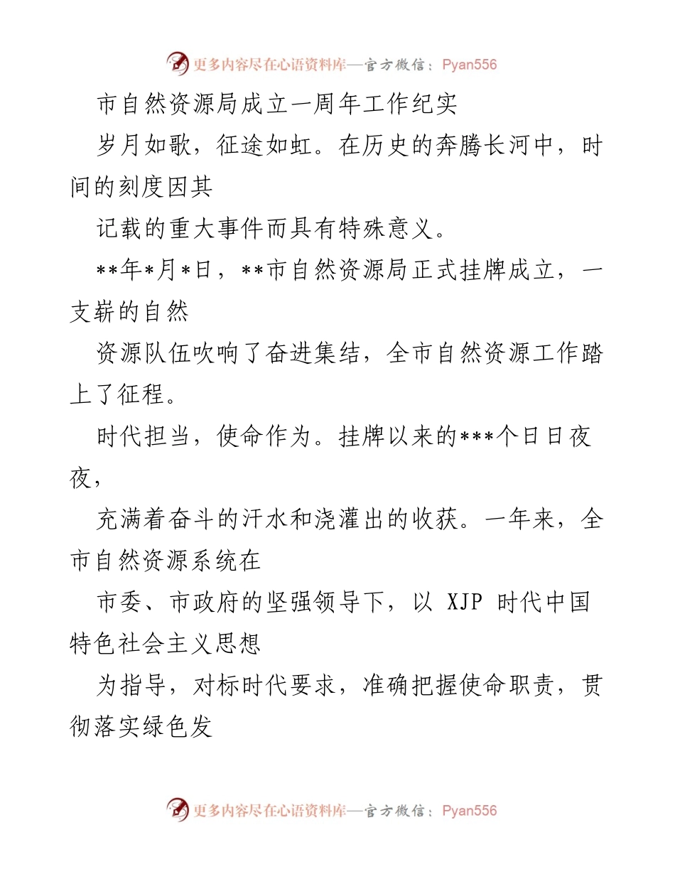 [工作总结] 自然资源局成立一周年 - 市自然资源局成立一周年工作回顾与成就总结.docx_第1页