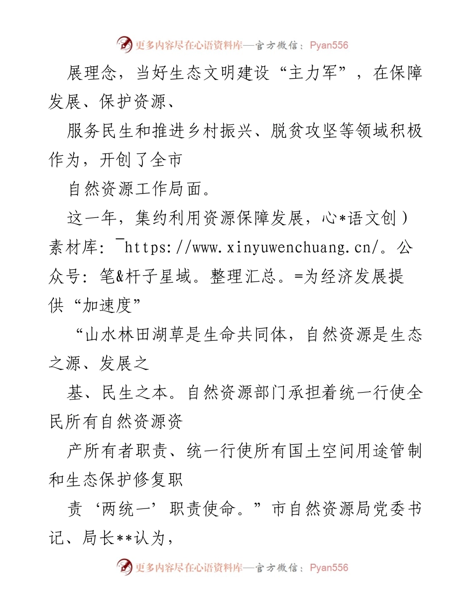 [工作总结] 自然资源局成立一周年 - 市自然资源局成立一周年工作回顾与成就总结.docx_第2页