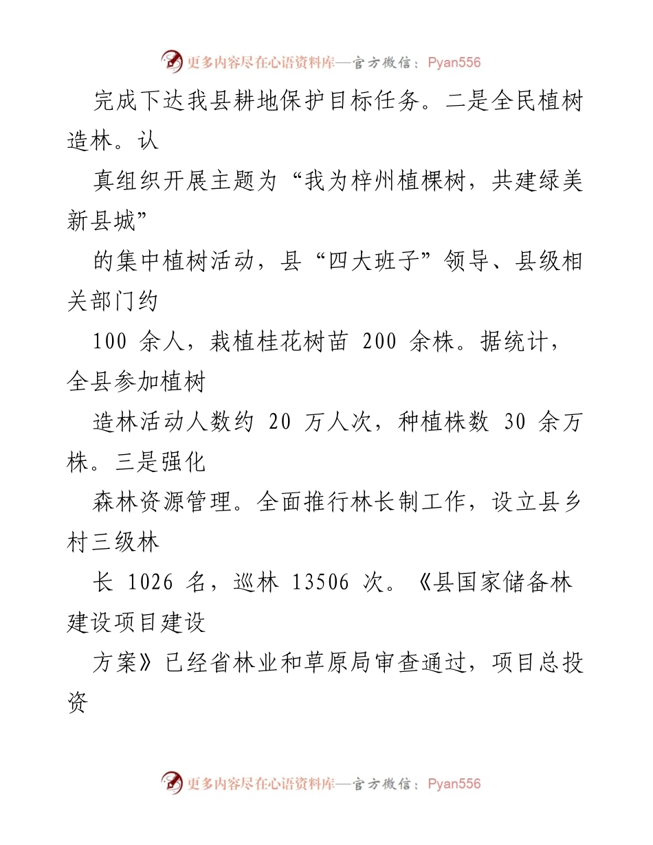 [工作总结] 自然资源局年终总结会 - 2023年工作总结与2024年工作计划.docx_第2页