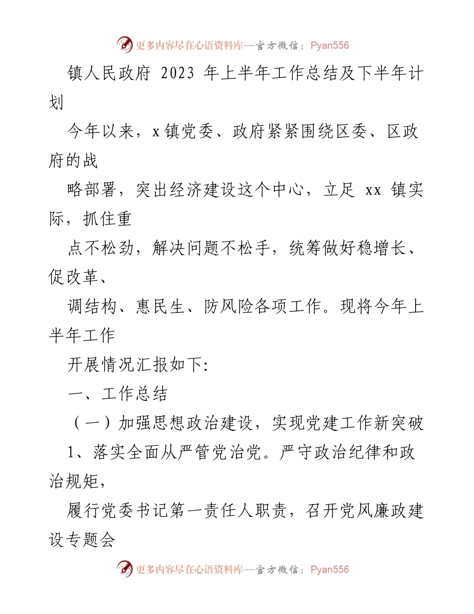 [工作总结] 镇人民政府 - 2023年上半年工作总结及下半年计划_1.docx_第1页