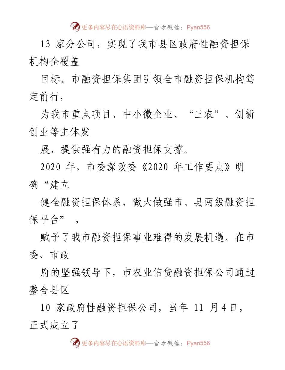[工作总结] 融资担保集团 - 2020年x市融资担保集团工作总结与发展成就.docx_第2页