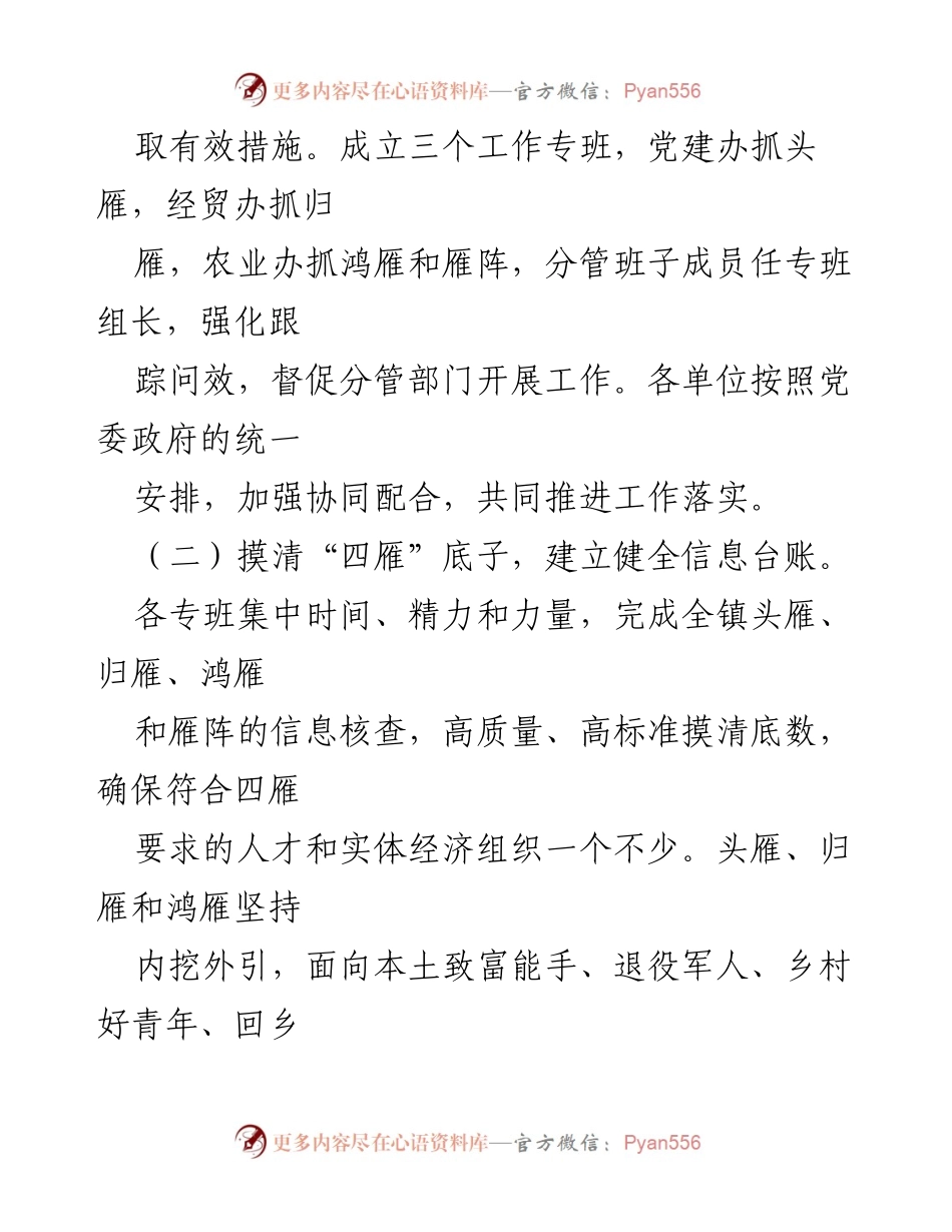 [工作总结] 镇乡 - 2023年第一季度“四雁工程”工作总结报告.docx_第2页