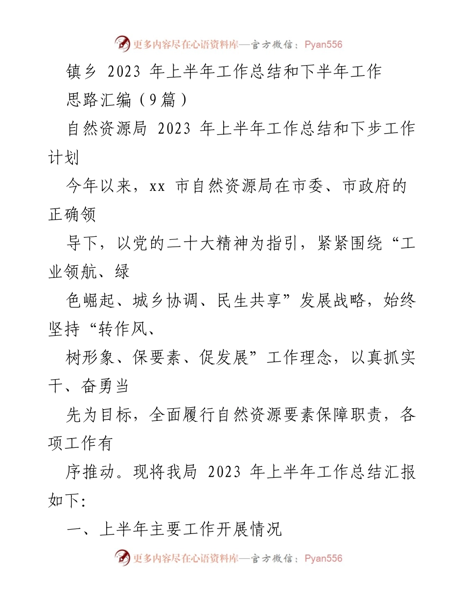 [工作总结] 自然资源局 - 2023年上半年工作总结与下半年工作计划_1.docx_第1页