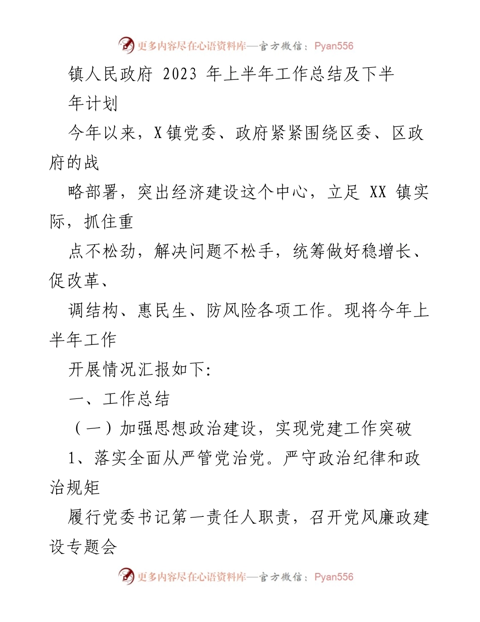 [工作总结] 镇人民政府 - 2023年上半年工作总结及下半年计划.docx_第1页