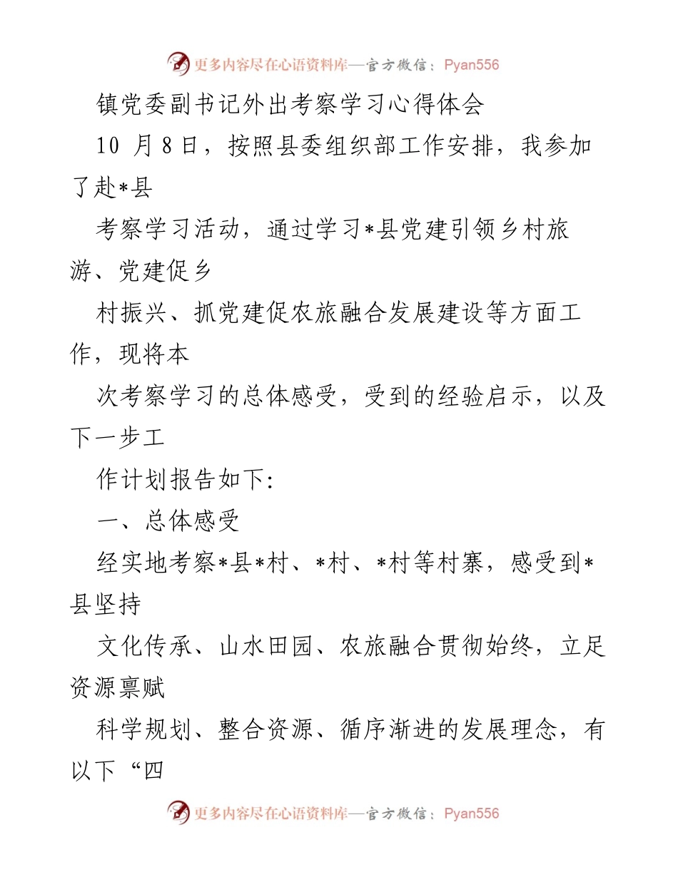 [工作总结] 考察学习 - 党建引领乡村振兴的实践与启示.docx_第1页