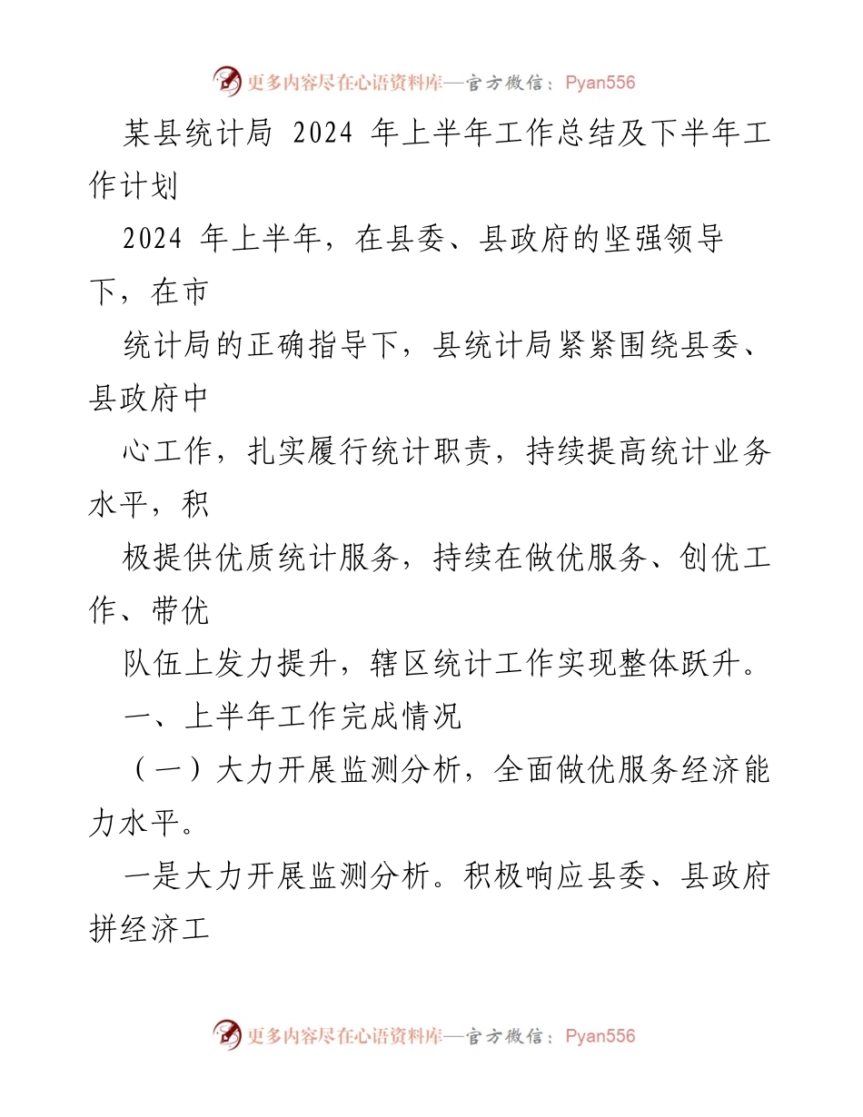 [工作总结] 统计局 - 2024年上半年工作总结与下半年工作计划_1.docx_第1页