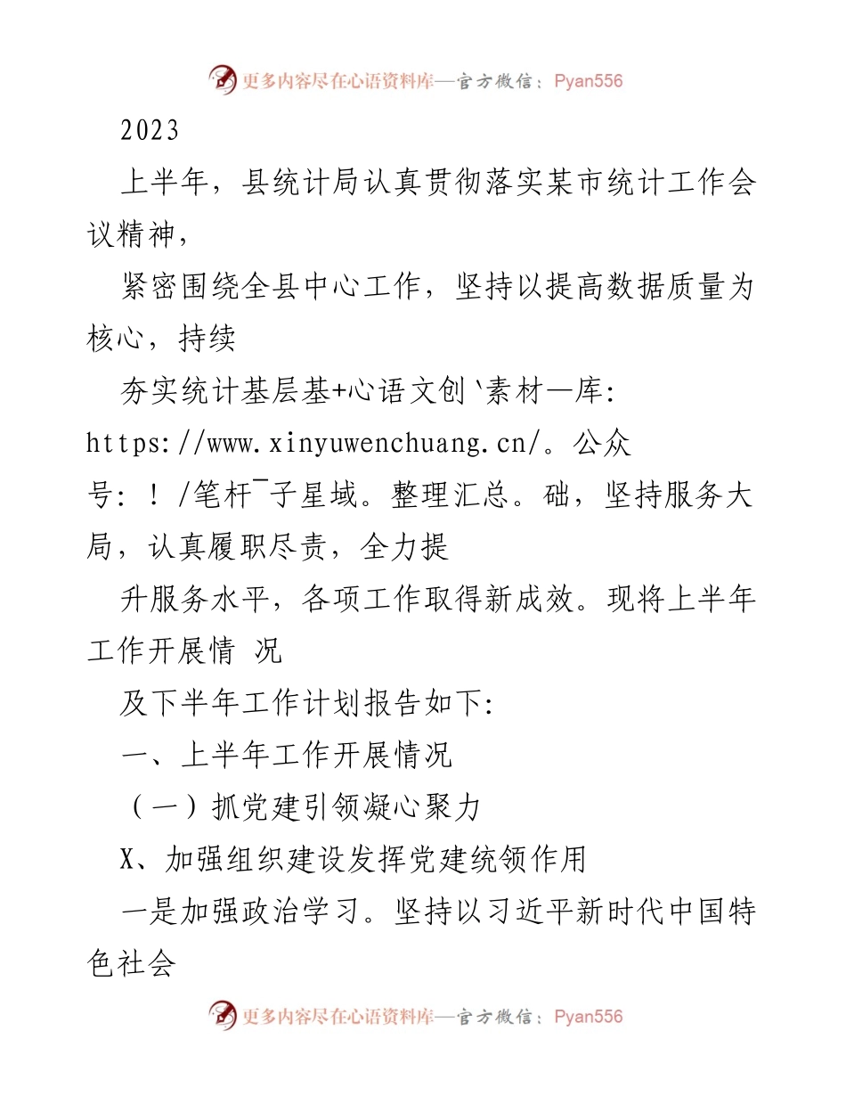 [工作总结] 统计局上半年工作汇报 - 2023年上半年统计局工作开展情况及下半年计划.docx_第1页