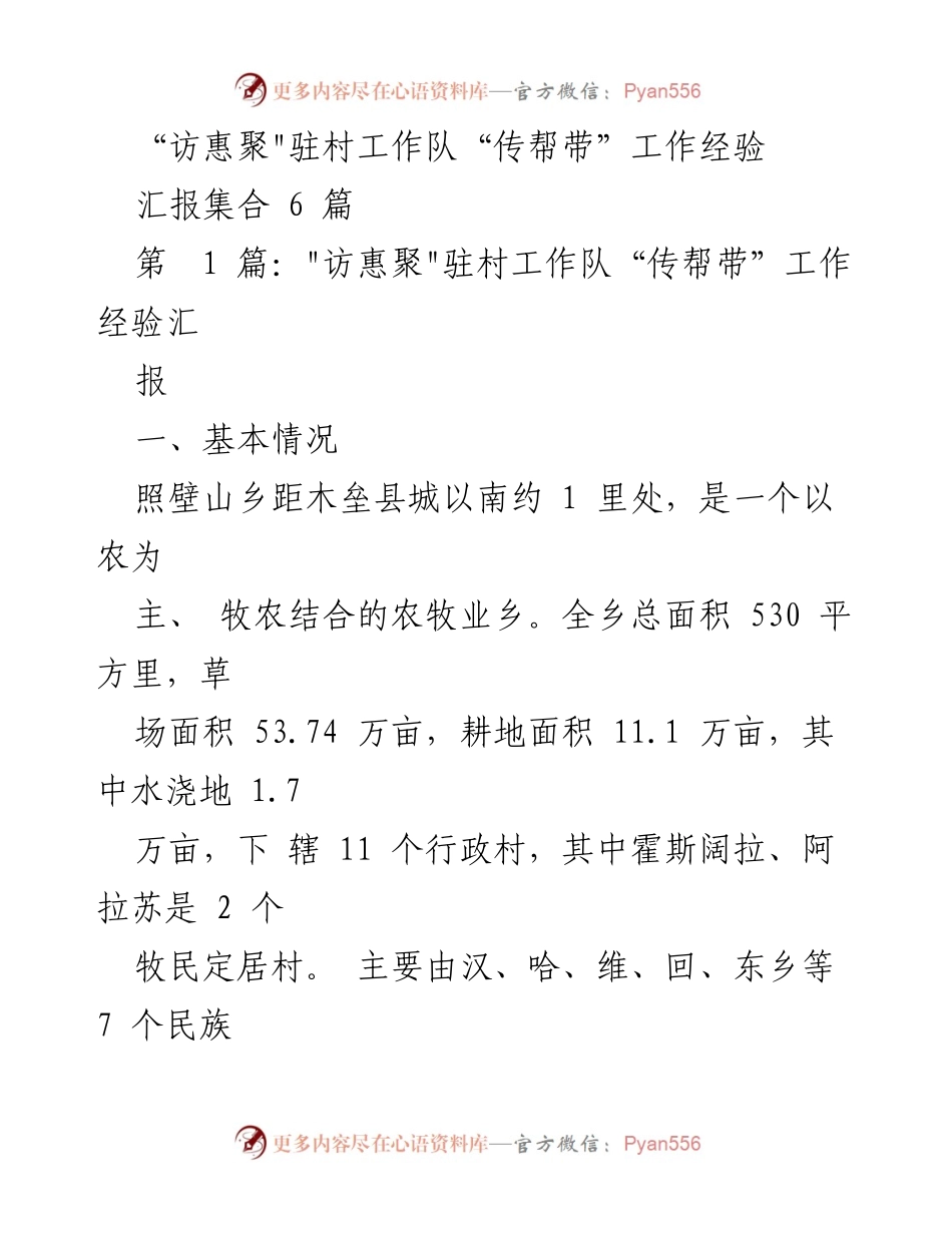 [工作总结] 访惠聚驻村工作 - _访惠聚_驻村工作队“传帮带”经验汇报及实施情况总结.docx_第1页
