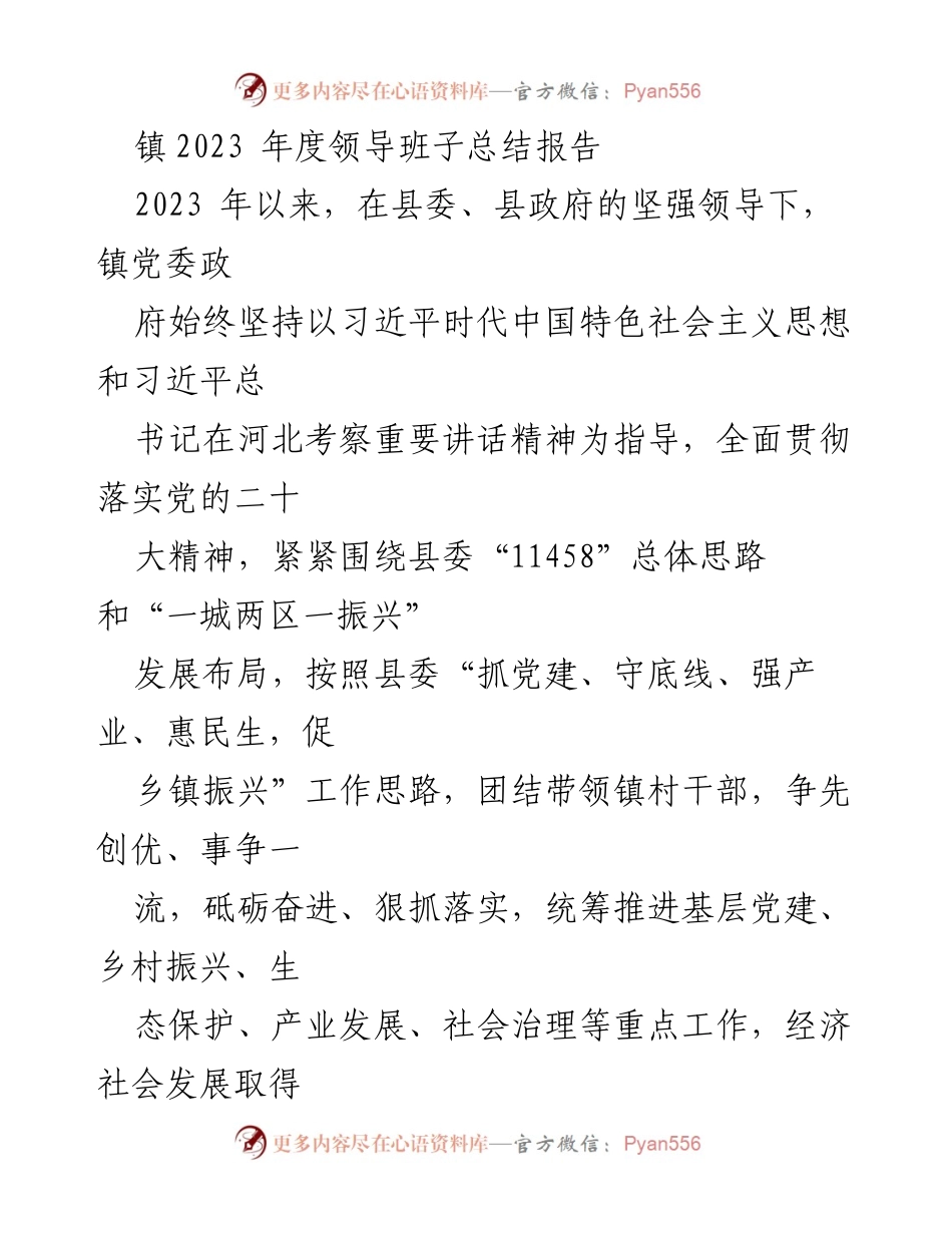 [工作总结] 镇党委政府 - 2023年度领导班子工作总结报告_1.docx_第1页