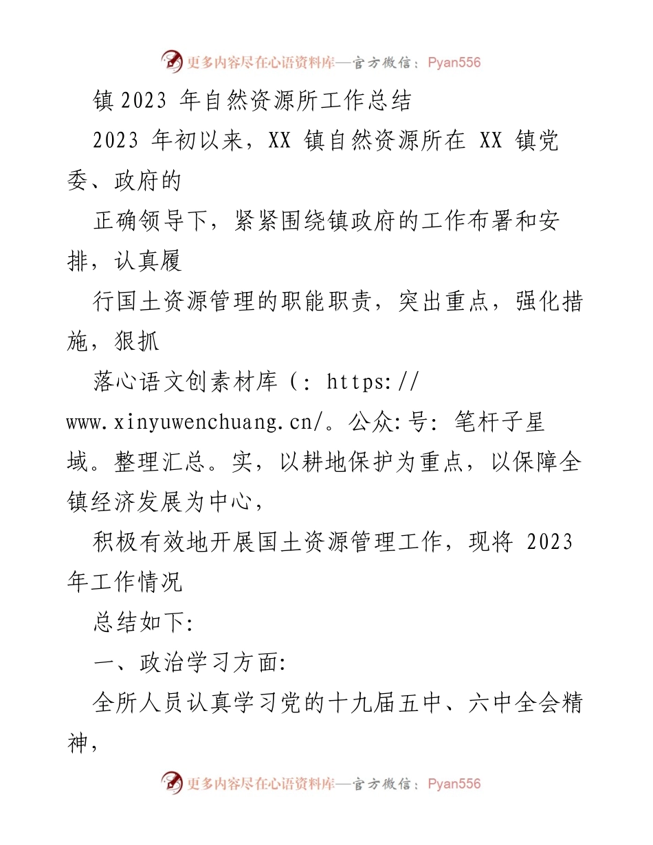 [工作总结] 镇自然资源所 - 2023年自然资源所工作总结报告.docx_第1页