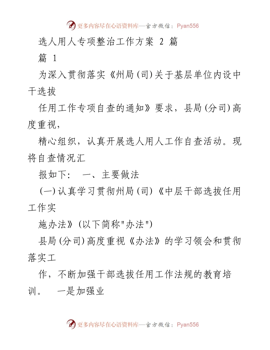 [工作总结] 选人用人专项整治 - 选人用人自查工作总结报告.docx_第1页