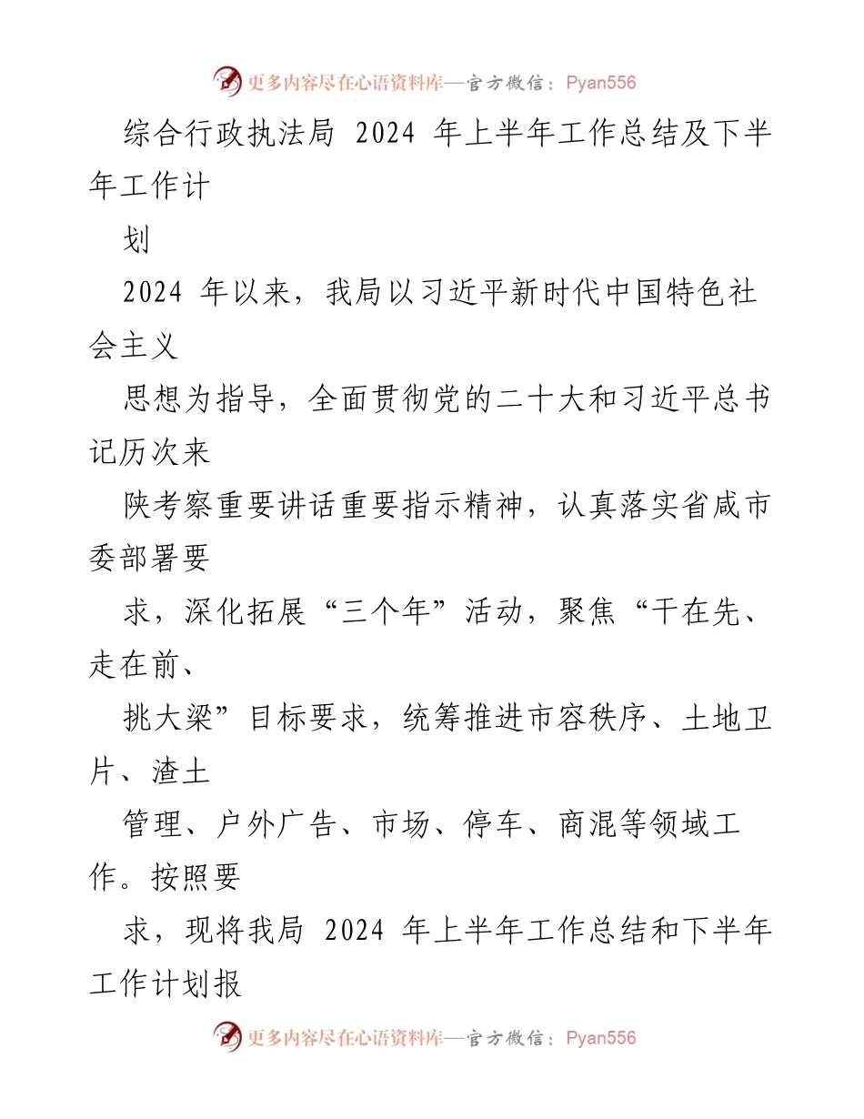 [工作总结] 综合行政执法局 - 2024年上半年工作总结与下半年工作计划.docx_第1页