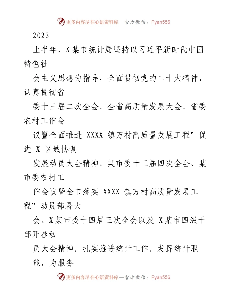 [工作总结] 统计局上半年工作汇报 - 2023年上半年统计局工作总结及成效报告.docx_第1页