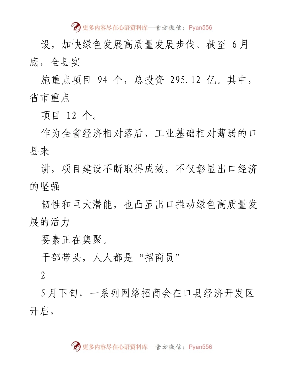[工作总结] 项目建设 - 口县经济发展与招商引资工作总结.docx_第2页