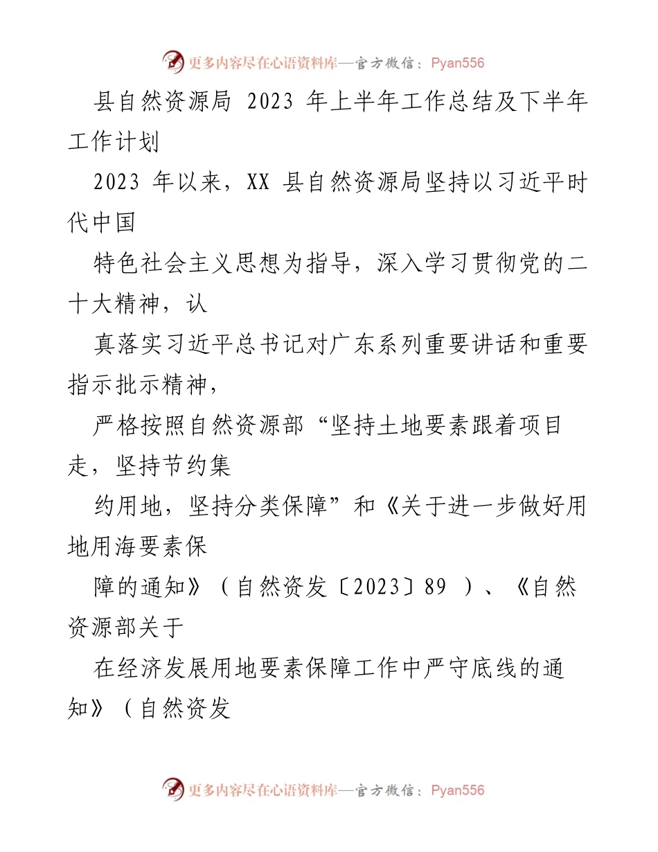 [工作总结] 自然资源局 - 2023年上半年工作总结及下半年工作计划_1.docx_第1页