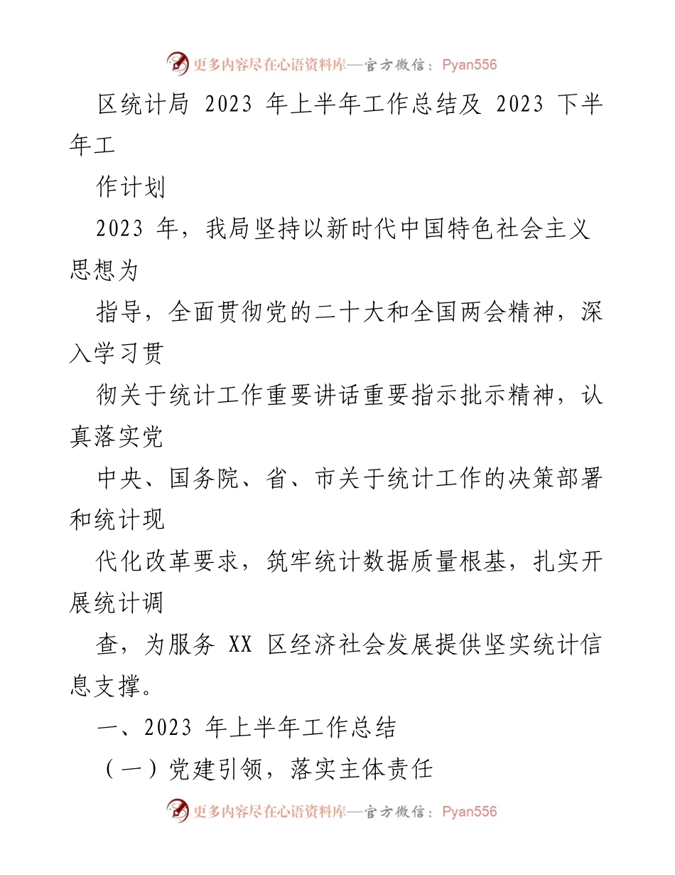 [工作总结] 统计局 - 2023年上半年工作总结及下半年工作计划.docx_第1页