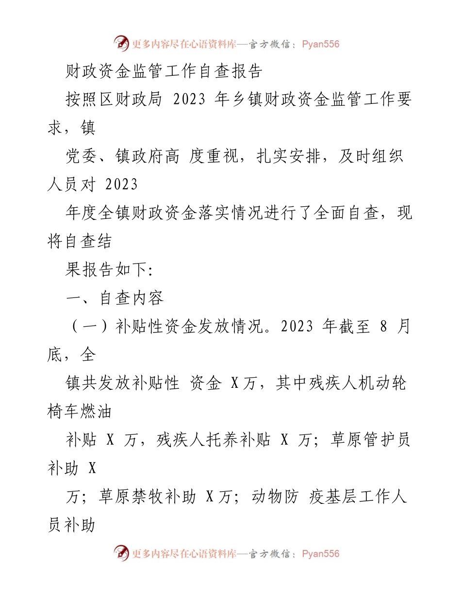 [工作总结] 财政资金监管 - 2023年度财政资金监管自查报告.docx_第1页