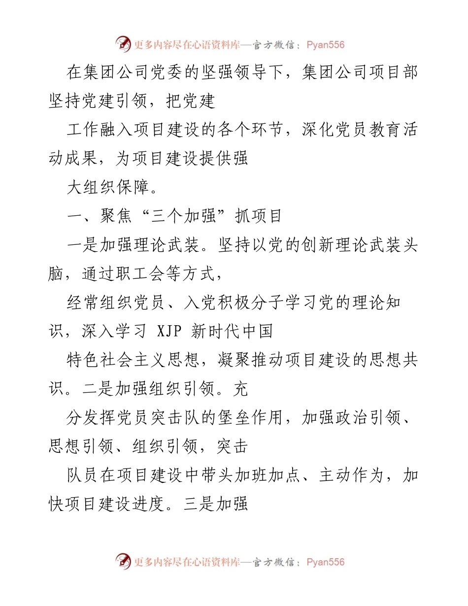 [工作总结] 项目建设 - 党建引领提升项目建设效率的实践与成效.docx_第1页